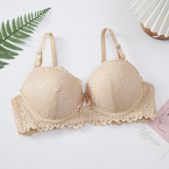 Solid embroidered underwire Comfortable Padded Lace Trim Bra