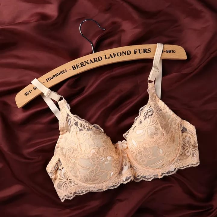 Embroidered Wired Bra With Floral Lace Price In Pakistan –