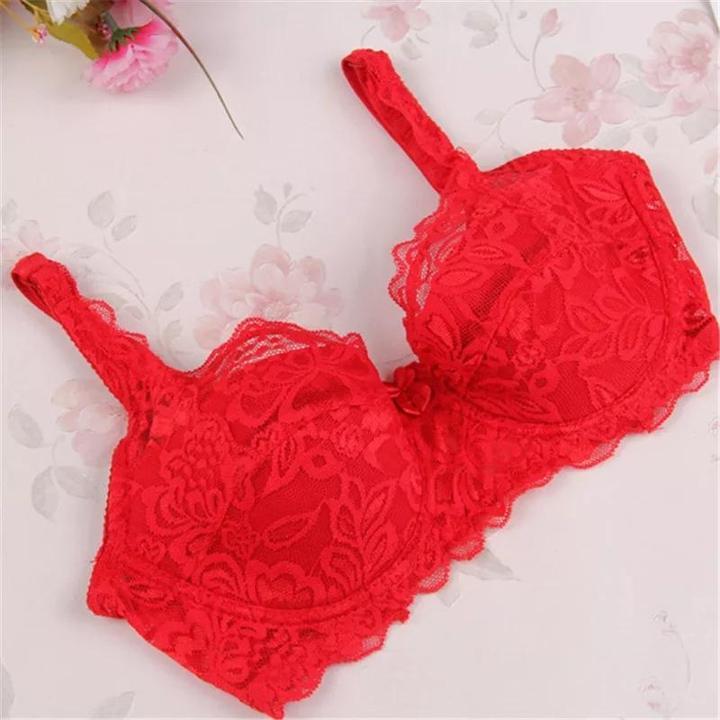 Embroidered Wired Bra With Floral Lace Price In Pakistan