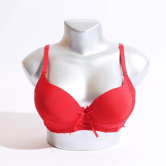 COMFORTABLE EMBROIDERED PUSH-UP PADDED BRA